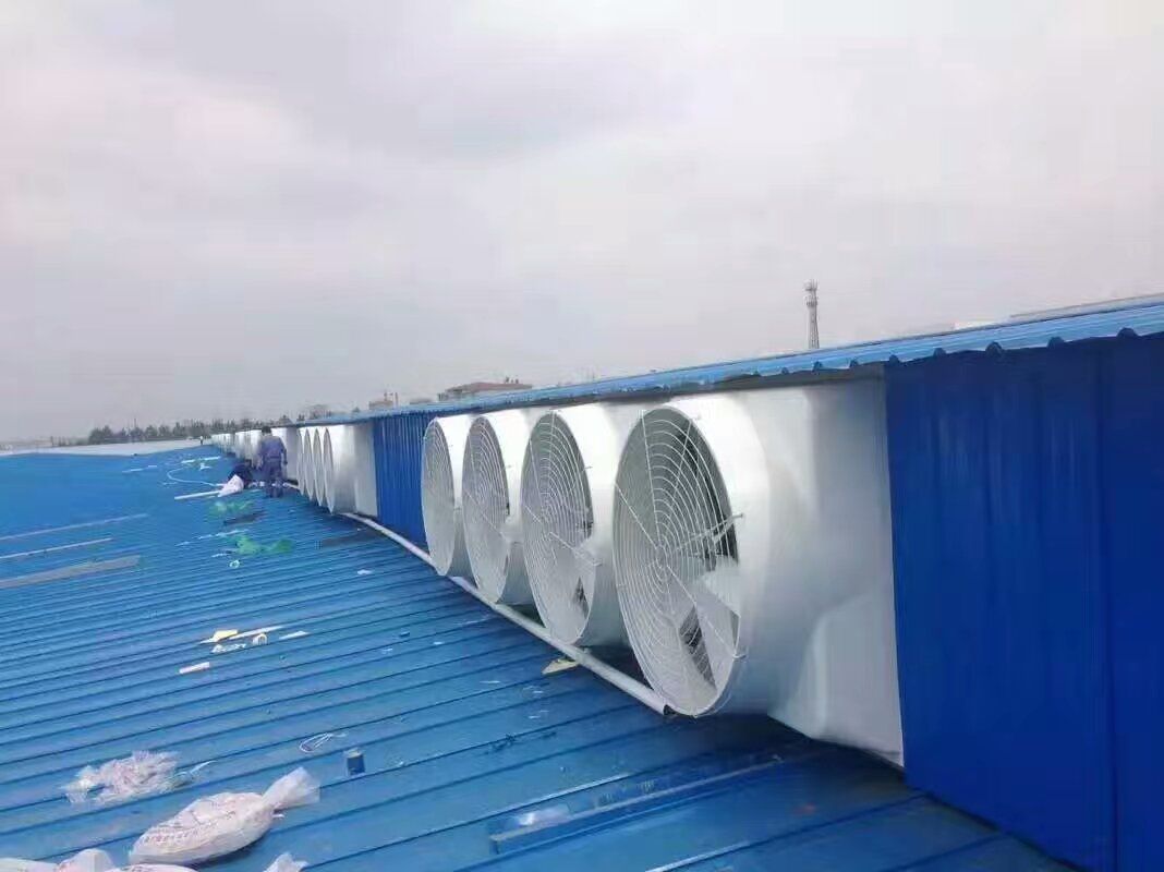 新年新氣象，新的養(yǎng)豬場就裝新負(fù)壓風(fēng)機(jī)濕簾來降溫