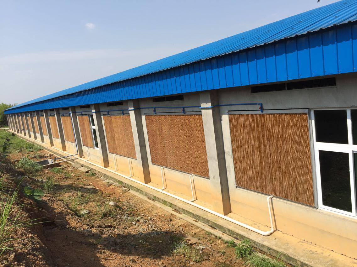 夏季畜牧養(yǎng)殖優(yōu)質通風降溫設備就選水簾風機